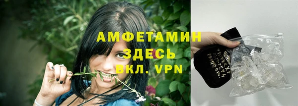 ПСИЛОЦИБИНОВЫЕ ГРИБЫ Горно-Алтайск