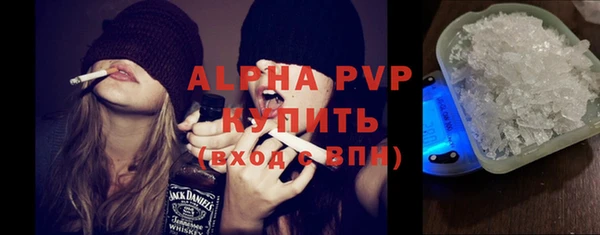 ПСИЛОЦИБИНОВЫЕ ГРИБЫ Горно-Алтайск