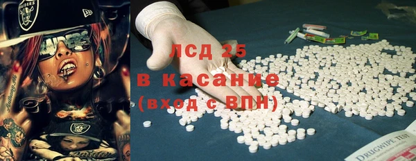 ПСИЛОЦИБИНОВЫЕ ГРИБЫ Горно-Алтайск