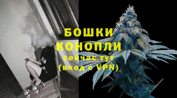 ПСИЛОЦИБИНОВЫЕ ГРИБЫ Горно-Алтайск